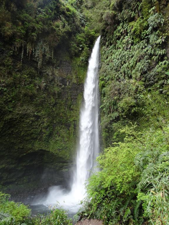 Apart & Tour Puerto Varas Eksteriør bilde